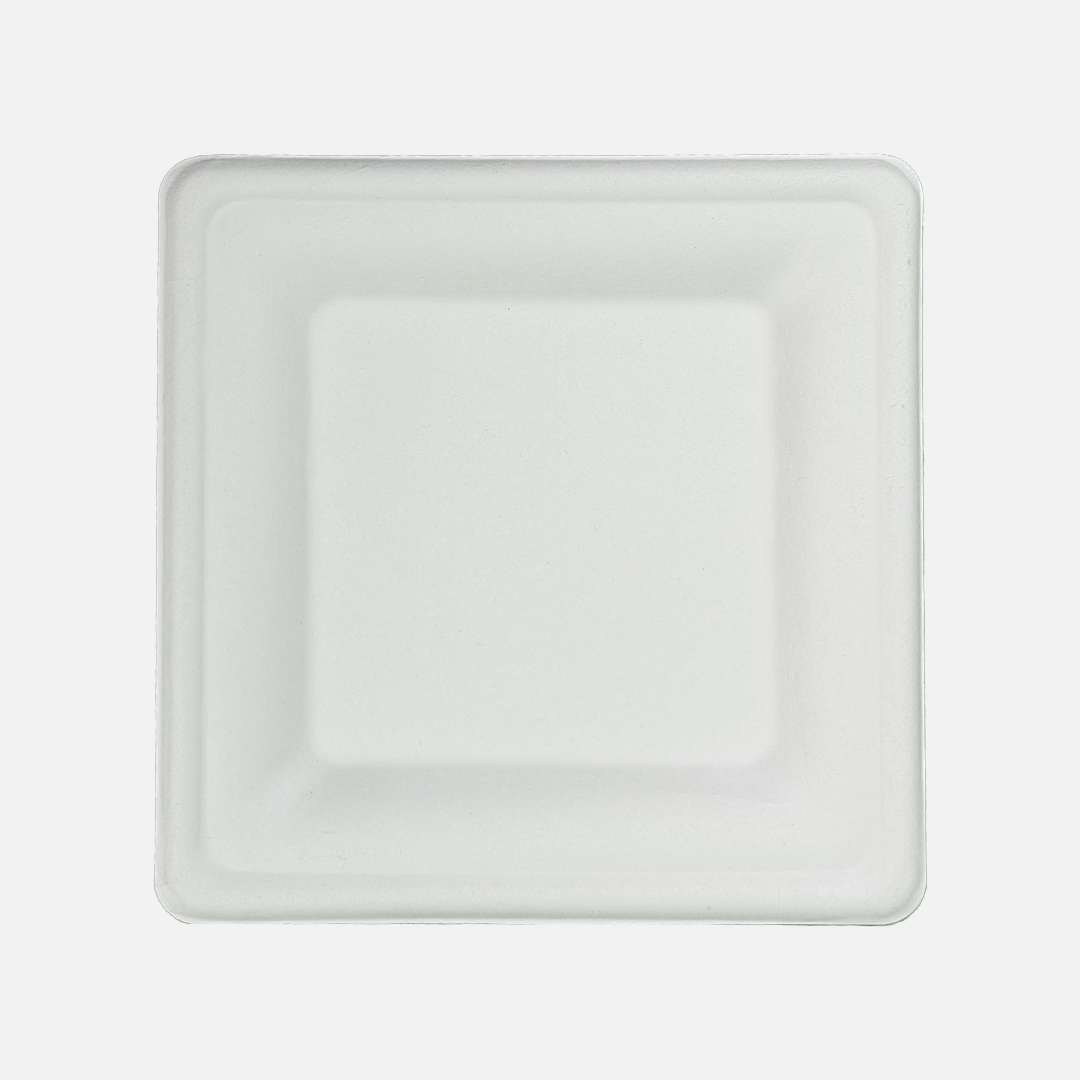Square Plate (8")