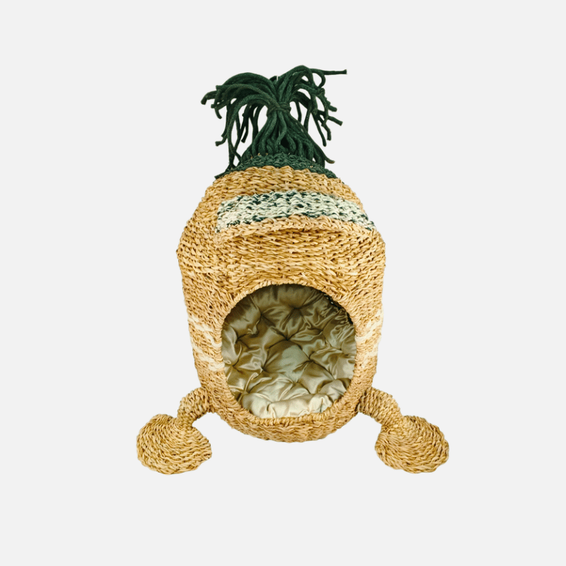 Handcrafted Fusion Cat House with soft cushion
